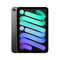 2021 Apple iPad Mini (8.3", Wi-Fi + Cellular, 256 GB) - Space Grau (6. Generation)