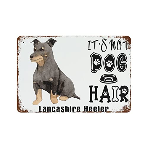 It'S Not Dog Hair Sign, Lancashire Heeler Funny Tin Sign, Lancashire Heeler Gift, Funny Metal Home Decor For Dog Pet Lovers,Retro Wall Decor Kitchen Bar Pub Coffee Shop Man Cave Decor 5.5x8inch