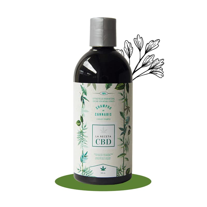 Vista 2 de Kit Capilar Kaba & La Receta Reparación, Crecimiento y Control de Grasa Champú Romero, Bio Mascarilla Capilar y Tratamiento Capilar Repolarizador.