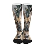 GHBNK Crew Athletic Socks Light Brown Dog Soft...