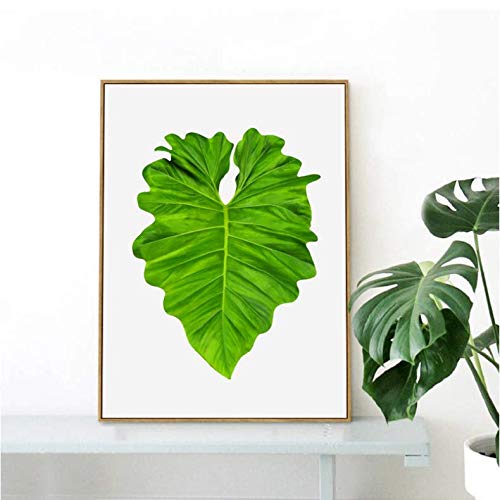 Affiche feuille de taro en coeur 50x70cm, poster aquarelle verte jungle sans cadre pour mur