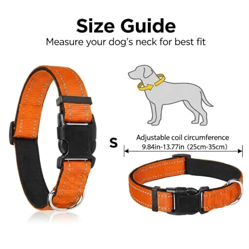 Collar reflectante para perro tamaño S color naranja miniatura 3
