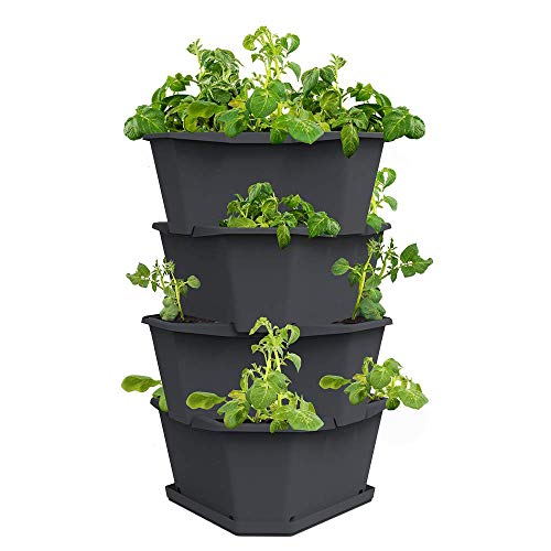 GUSTA GARDEN Paul Potato Starter, Torre de Patatas - apilable - Cama elevada/Maceta de Plantas/Maceta de Flores para el balcón, el jardín y la terraza (4 Pisos, Antracita/Gris)