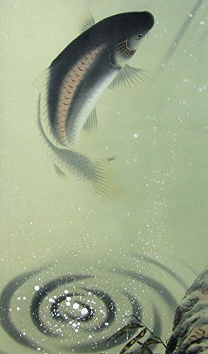 Amazon.co.jp: 足利蕉峰『滝登り鯉』日本画 掛け軸 魚 動物 端午の節句