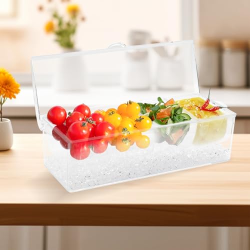 LYFJXX Gekühlter Gewürzservierer mit Deckel, Bar-Gewürz-Organisator auf Eis mit 4 Fächern, klare Servier-Bar Fächer Box Tablett