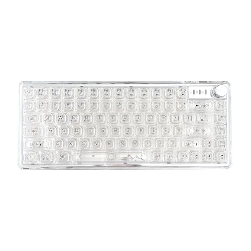 ROTISNAR × EWEADN V82 クリスタル透明メカニカルキーボード 81キー+1 ノブ 付き 75%レイアウト 3モード無線接続 Bluetooth/2.4G/Type-C ワイヤレスキーボード ホットスワップ対応 RGBライト Mac/Win