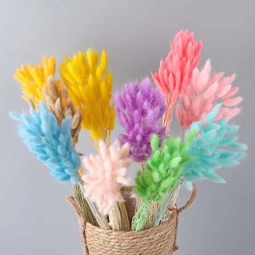 Pampas Grass Decor Tall 30 Piezas Flores Secas Naturales miniatura 2
