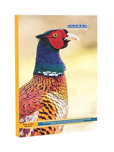Image of KAANUKA Long Size Notebook - 300 Pages, Unruled, Plain, Long Size - 27.2cm X 16.7cm, Pack Of 6 Notebooks, Long Size Unruled Notebooks for School and College Students