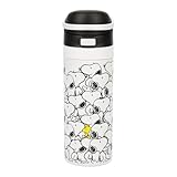 Peanuts Snoopy and Woodstock 24 Oz. Stainless Steel Water Bottle