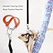 The Lord of the Tools 2 Sets Hamster Gliding Straps Training Walking Vest Sets Large Medium Small with 1.5m Rope for Squirrels Hamsters Mice, Black Brown