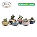T4U 2.5 Inch Small Ceramic Succulent Planter Pot with Drainage Hole Set of 6, Ice Crack Glaze Plant Container for Cactus, Gardening Plant Gifts for Women Mom Aunt Home Office Decor