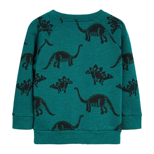 Boys Sweatshirts Long Sleeve Sweatshirts T-shirts Crew Neck Cotton Casual Sweatshirts Cartoon Tops for Boys-572