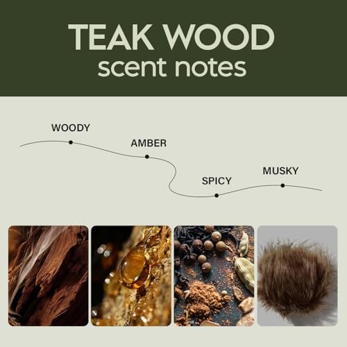 Image of Hanging Car Air Freshener 2 Pack 8ML - Light Sandalwood Fragrance - Car Diffuser - Helps Reduce Odors - Car Interior Accessory