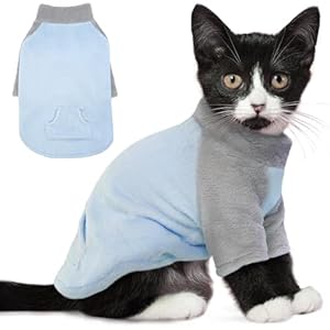 PUMYPOREITY Kitten Sweater, Fleece Cat Shirt, Turtleneck Cat Clothes, Winter Warm Cat Outfit, Thick Cat Sweaters for Cats Only, Blue, XS