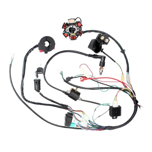 Faisceau de câbles et boîtier CDI d'allumage pour quad 90cc et 125cc - 3