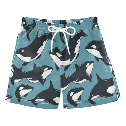 Boccsty Killer Whale Animal Blue Boys Swim Trunks Baby Kids Swimwear Summer Toddler Beach Board Shorts 2T
