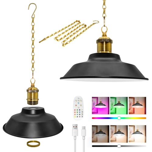 Portable Battery Operated Pendant Light, 100 cm Rechargeable Pendant Lamp with Remote, 23x7cm Removable Black Metal Lampshade Ceiling Light, Brass Lamp Holder, Metal Hanging Chain Lamp for Porch