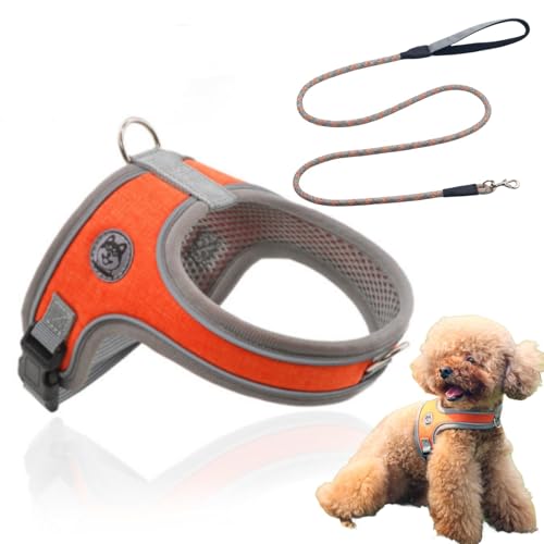 yn[lXE[hZbgzPETTENA n[lX [h p Ԕ AɗD l[v[g hbOn[lX h~ ߖh~ʂybgp TCY߉\ [ Eoh~ y ʋCKpn[lX /^p (I