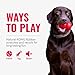 KONG Tug Toy - Dog Supplies for Tug of War - Natural Rubber Dog Toy for Outdoor & Indoor Playtime - for Medium/Large Dogs