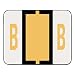 Smead 67072 A-Z Color-Coded Bar-Style End Tab Labels Letter B Light Orange 500/Roll