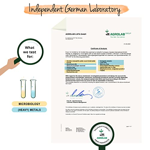 Multivitaminas Vegano Vegavero | Natural | EL ÚNICO SIN ADITIVOS | 12 Vitaminas + 5 Minerales | Para Hombre y Mujer | 120 Cápsulas | Vitamina para el Cansancio + Sistema Inmunológico + Energía - imagen 5