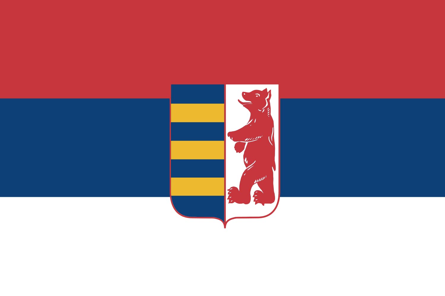 Drapeau Pannonian Rusyns Serbia grand format pavillon historique slave