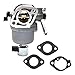 Produktbild FMSBSC Hoher Qualität Garten Mechanischer Vergaser Set Motortraktor Carb-kompatibel für Briggs & Stratton 697722 401577 699807