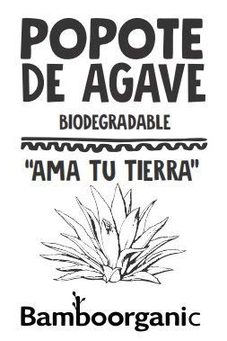 Pitillos de fibra de agave, paquete de 50, envueltos individualmente miniatura 6
