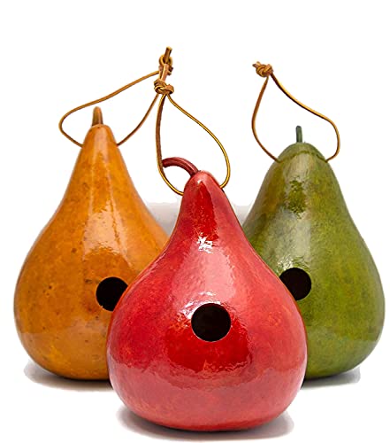 Gourd Birdhouses - Birthday Gift for Bird Lover - Birdhouse Gourds - Green -Red- Yellow