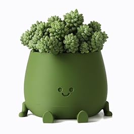 TOPOLA Happy Face Planter,...