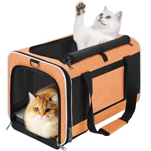 GAPZER Large Pet Travel Carrier