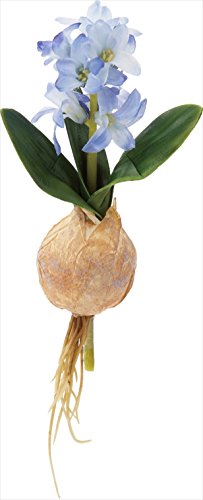 ヒヤシンス 造花の人気商品 通販 価格比較 価格 Com ヒヤシンス 造花の人気商品 通販 価格比較 価格 Com
