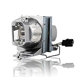 SunnyPro BL-FP210A/BL-FP210B/SP.70201GC01 Replacement Projector lamp Compatible with Optoma DH1012 EH210 EH341 HD26LV HDF572 HT210V W316ST W350 W351 X316ST X35 X351