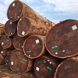 ARMLAZER Afrormosia Holzstücke, 2 Stück, 30 x 50 x 300 mm, für DIY-Projekte