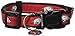 Sporty K9 NCAA Arkansas Razorbacks Dog Collar, Medium/Large