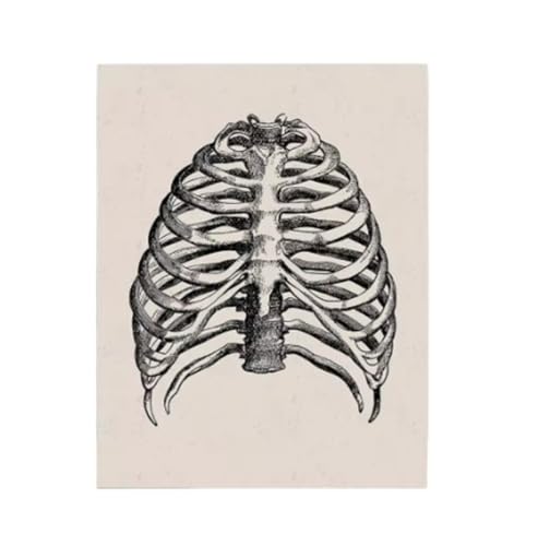 Squelette musculaire en toile imprimée nordique A2 style rétro médical