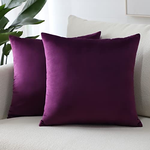 Sungeek 2er Set Samt Kissenbezüge, Dekorativ Zierkissenbezüge Weich Kissenbezug Dekokissen Sofakissen Couchkissen Deko Bezug Kissenhülle für Sofa Schlafzimmer Wohnzimmer (40x40 cm, Aubergine Lila)