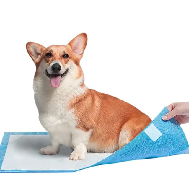 PSK PET MART Pet Training Pads with Adhesive Floor Tape, 60x45 CM Heavy Duty Training Pee & Potty Pads, Quick Drying Surface & Absorbent Core for Dogs (10 Count) (B0CZP6R8H4) Amazon Price History, Amazon Price Tracker