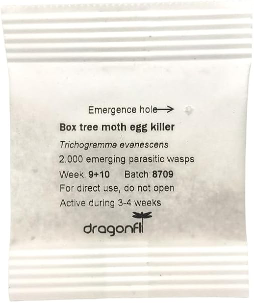 Dragonfli Box Tree Moth Egg Killer Sachet Trichogramma Parasitic