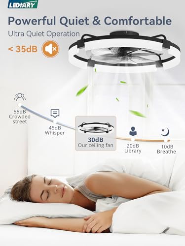Image of LEDIARY 24 inch Ceiling Fans with Lights and Remote, Modern Low Profile Ceiling Fan, 3 CCT, Stepless Dimmable, Fandelier Flush Mount Fan Light, 6 Speeds, DC Motor, App & Remote Control for Bedroom(Black)
