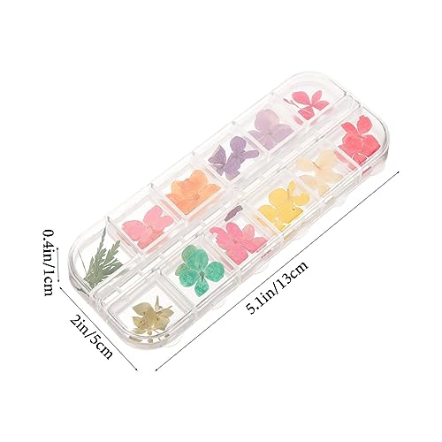 Flores naturales secas para manualidades DIY, set 3 cajas miniatura 2