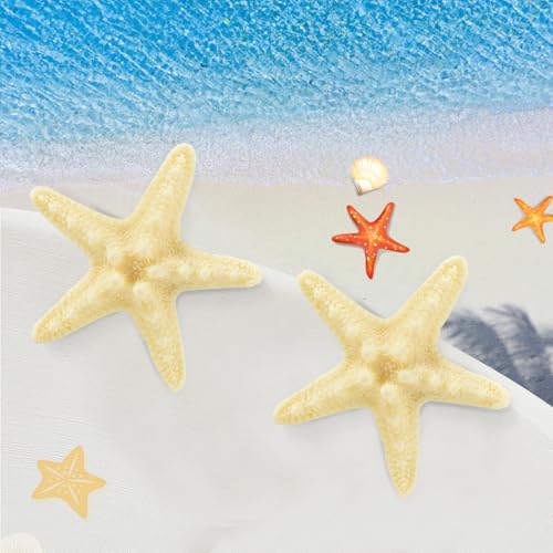 Set de 2 pinzas con diseño de estrella de mar miniatura 5