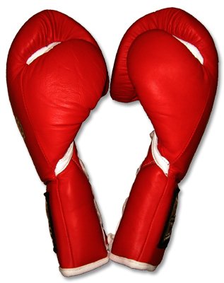 Ring to Cage Professional Fight Gloves for Boxing-12oz