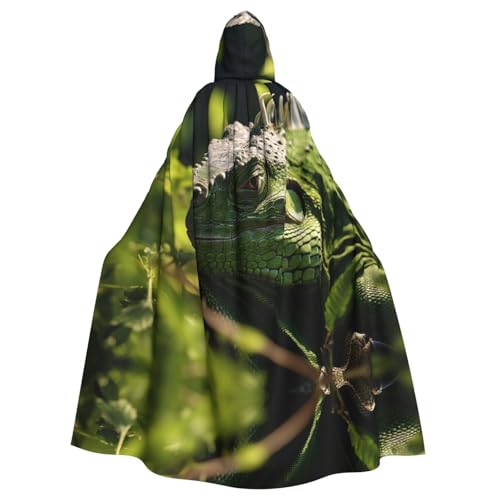OIBNKCN Un iguane vert réfléchi adapté pour les hommes et les femmes, les peignoirs à capuche pour adultes, les capes, les chevaliers, les costumes de jeu de rôle élégants et cool
