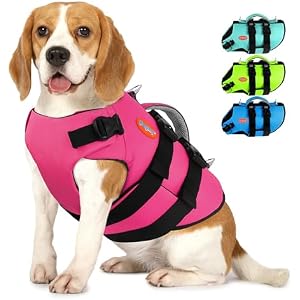 Doglay Dog Life Jacket- High Flotation Neoprene Dog Swimming Vest, Reflective Adjustable Life Vests for Boating, Lightweight Life Preserver with Handle & Double D-Rings for Small Medium Larg
