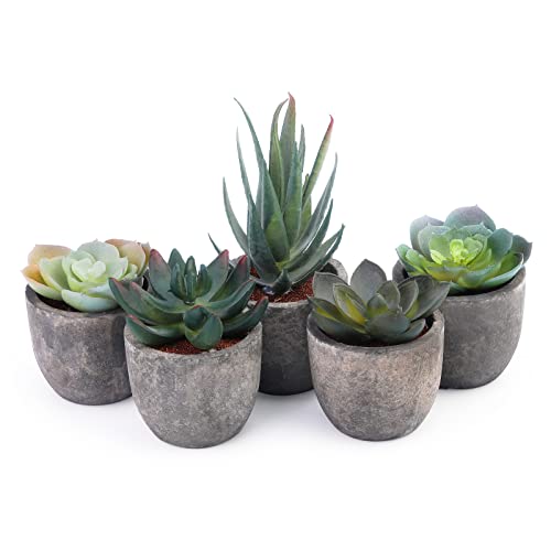 Iuuidu 5Pcs Artificial Succulent Plants Artificial Potted Plants Fake Plants Indoor Mini Assorted Fake Succulents,Realistic Greenery Mini Faux Plant Perfect For Diy Home Decoration #TOP24