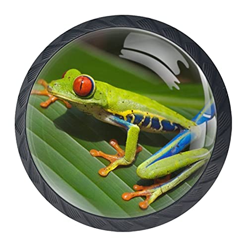 Animal Frog Home Office Kitchen Wardrobe Door Cabinet Knobs Drawer Pulls Handle for Dresser Drawers ABS Glass Cupboard Hardware