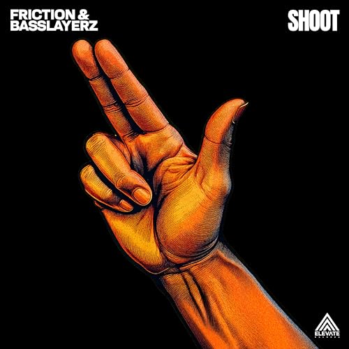 Friction & Basslayerz