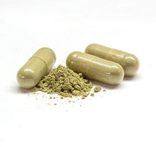Brahmi BioFeel Kapseln, BIO, 120 Stück, 500mg Bacopa Monnieri