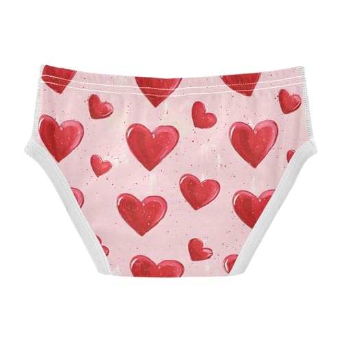 Red and Pink Hearts Black Toddler Boy's Underwear 2T 202b91012